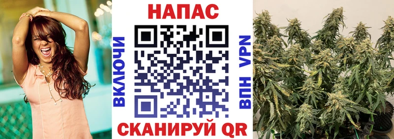 Купить Галлюциногенные грибы  Мефедрон  ГАШИШ  Конопля  Alpha PVP  Новая Ляля